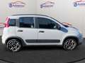Fiat Panda 1.0 firefly hybrid City Life s&s 70cv Grigio - thumbnail 6