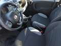 Fiat Panda 1.0 firefly hybrid City Life s&s 70cv Grigio - thumbnail 9