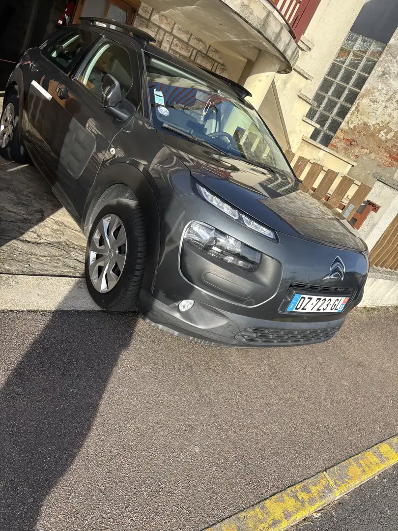 Citroen C4 Cactus PureTech 82 Business - 1