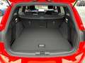 Ford Focus Turnier ST-Line X mHEV AT 4J.*Gar.+ParkAssist Rot - thumbnail 10