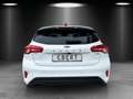 Ford Focus 1.0 EcoBoost ST-Line/PANO-DACH/KAMERA/B&O/ Bianco - thumbnail 4