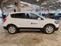 Suzuki SX4 S-Cross 2017 1.6 ddis Cool 4WD ALL GRIP COOL - FH059LN Alb - thumbnail 5