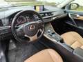 Lexus CT 200h CT 200h Executive Executive Grau - thumbnail 9