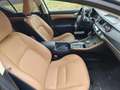 Lexus CT 200h CT 200h Executive Executive Grau - thumbnail 15