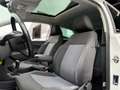 Volkswagen Polo 1.2 TSI Comfortline|Panoramadak|Cruise|Airco Wit - thumbnail 32