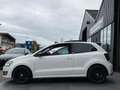 Volkswagen Polo 1.2 TSI Comfortline|Panoramadak|Cruise|Airco Wit - thumbnail 12