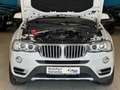 BMW X3 xD20dAut/NaviBus/Xen/Panor/Kamer/Temp/xLine Blanc - thumbnail 30