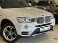 BMW X3 xD20dAut/NaviBus/Xen/Panor/Kamer/Temp/xLine Blanc - thumbnail 5