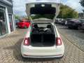 Fiat 500 0.9 Lounge*12M.Garantie*Finanzierung* Weiß - thumbnail 17