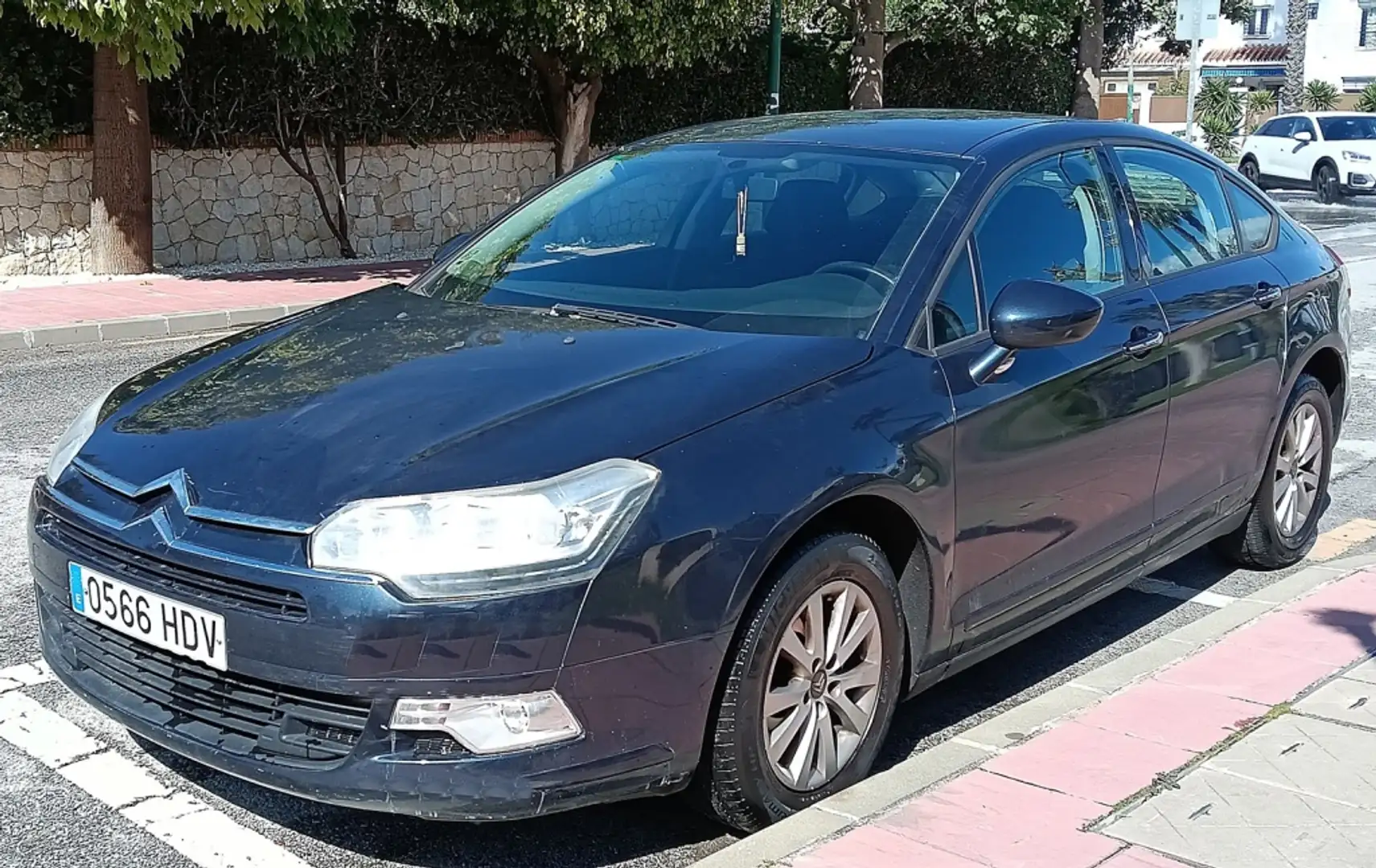 Citroen C5 Berlina Manual de 4 Puertas Bleu - 1