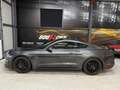 Ford Mustang Mustang Fastback V8 5.0 GT Gris - thumbnail 6