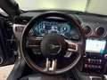Ford Mustang Mustang Fastback V8 5.0 GT Gris - thumbnail 19