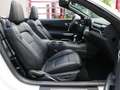 Ford Mustang Convertible 5.0 Ti-VCT GT Blanco - thumbnail 9