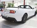 Ford Mustang Convertible 5.0 Ti-VCT GT Blanco - thumbnail 3