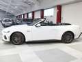 Ford Mustang Convertible 5.0 Ti-VCT GT Blanco - thumbnail 2