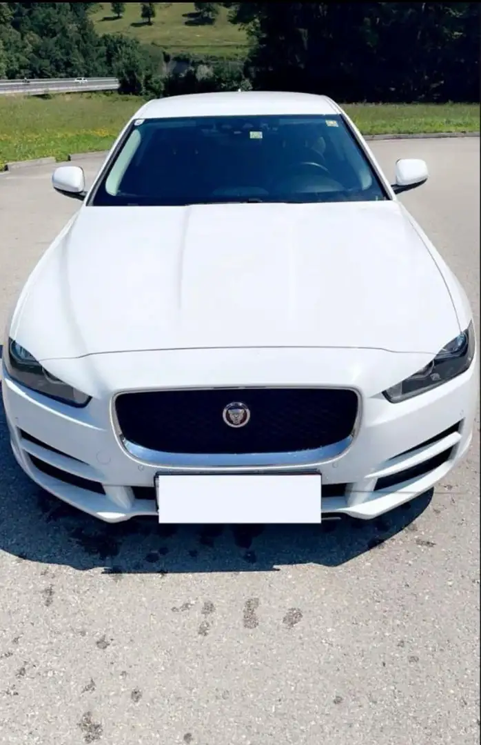 Jaguar XE E-Performance Prestige Aut. Weiß - 2