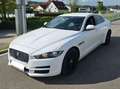 Jaguar XE E-Performance Prestige Aut. Weiß - thumbnail 1