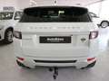 Land Rover Range Rover Evoque 5p 2.0 Td4 (110 kW) 150 CV 4x4 Pure Bianco - thumbnail 5