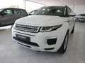 Land Rover Range Rover Evoque 5p 2.0 Td4 (110 kW) 150 CV 4x4 Pure Bianco - thumbnail 2