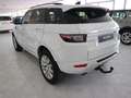 Land Rover Range Rover Evoque 5p 2.0 Td4 (110 kW) 150 CV 4x4 Pure Bianco - thumbnail 7