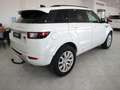 Land Rover Range Rover Evoque 5p 2.0 Td4 (110 kW) 150 CV 4x4 Pure Bianco - thumbnail 4