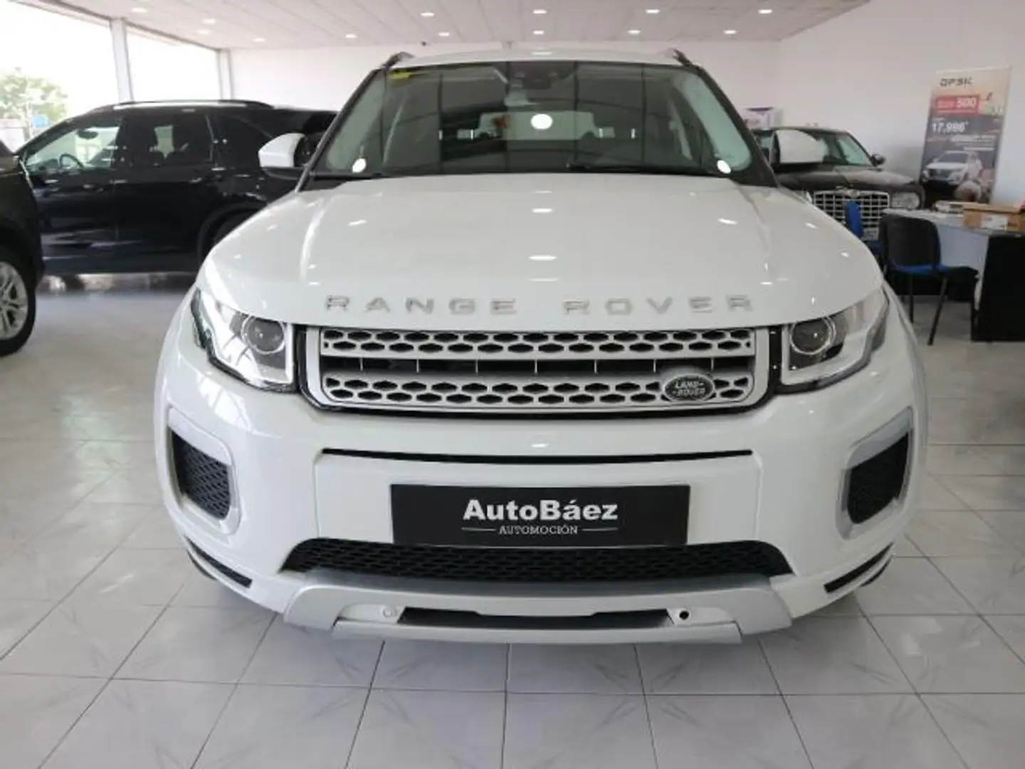 Land Rover Range Rover Evoque 5p 2.0 Td4 (110 kW) 150 CV 4x4 Pure Bianco - 1