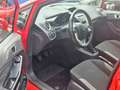Ford Fiesta Trend Tüv Neu Rot - thumbnail 14