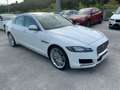 Jaguar XF XF 3.0 D V6 300 CV aut. Portfolio TETTO.FULL OPT Bianco - thumbnail 4