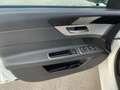 Jaguar XF XF 3.0 D V6 300 CV aut. Portfolio TETTO.FULL OPT Bianco - thumbnail 14