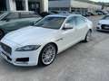 Jaguar XF XF 3.0 D V6 300 CV aut. Portfolio TETTO.FULL OPT Bianco - thumbnail 6