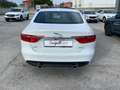 Jaguar XF XF 3.0 D V6 300 CV aut. Portfolio TETTO.FULL OPT Bianco - thumbnail 2