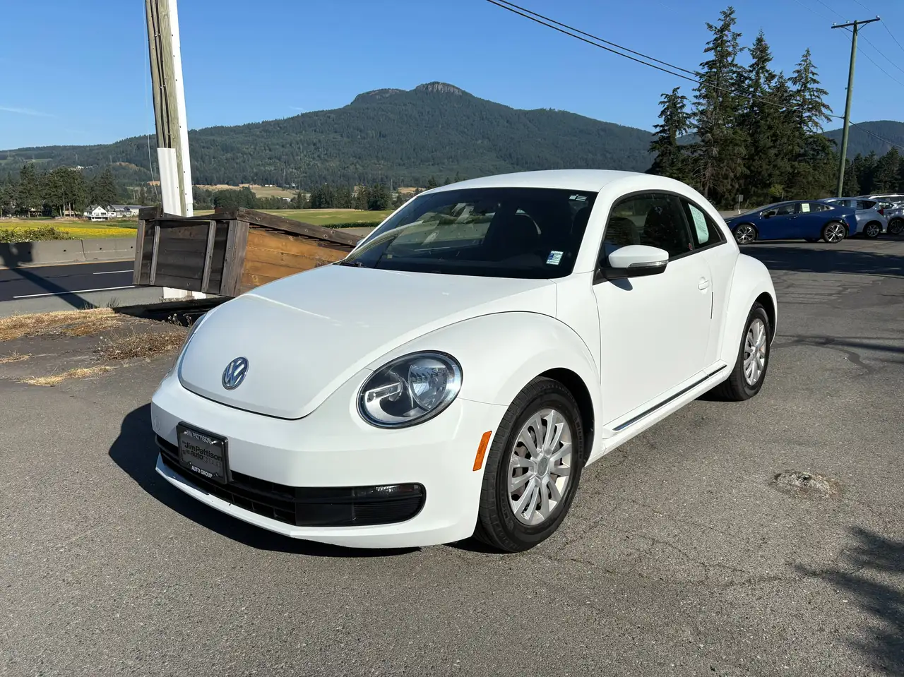 Volkswagen Beetle photo Volkswagen Beetle