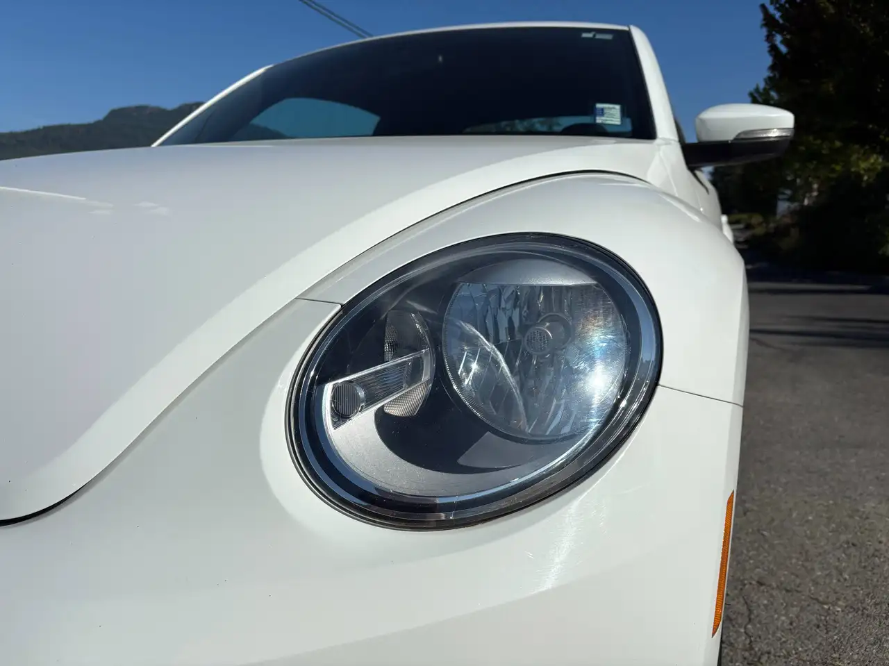 Volkswagen Beetle photo Volkswagen Beetle