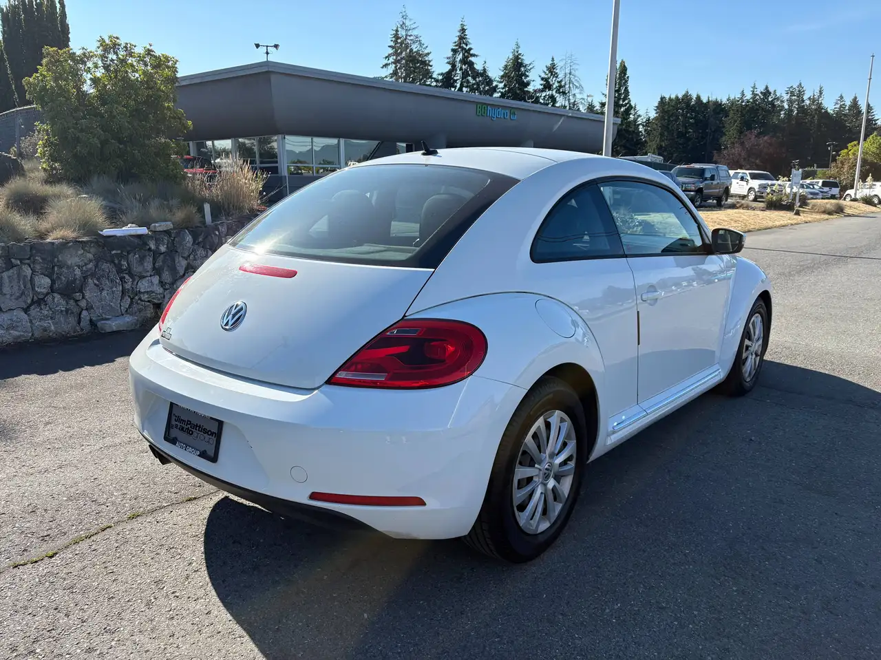 Volkswagen Beetle photo Volkswagen Beetle