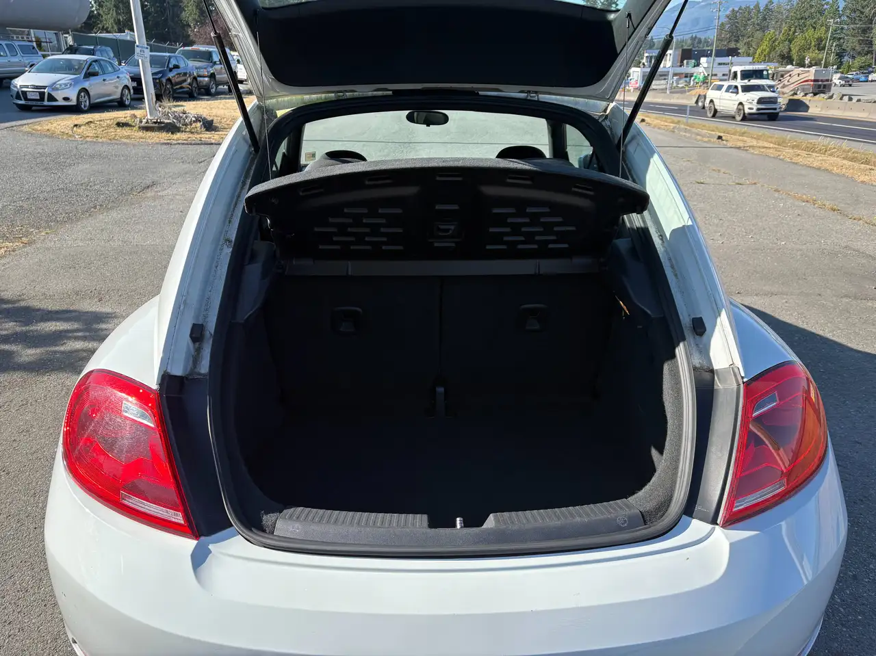Volkswagen Beetle photo Volkswagen Beetle