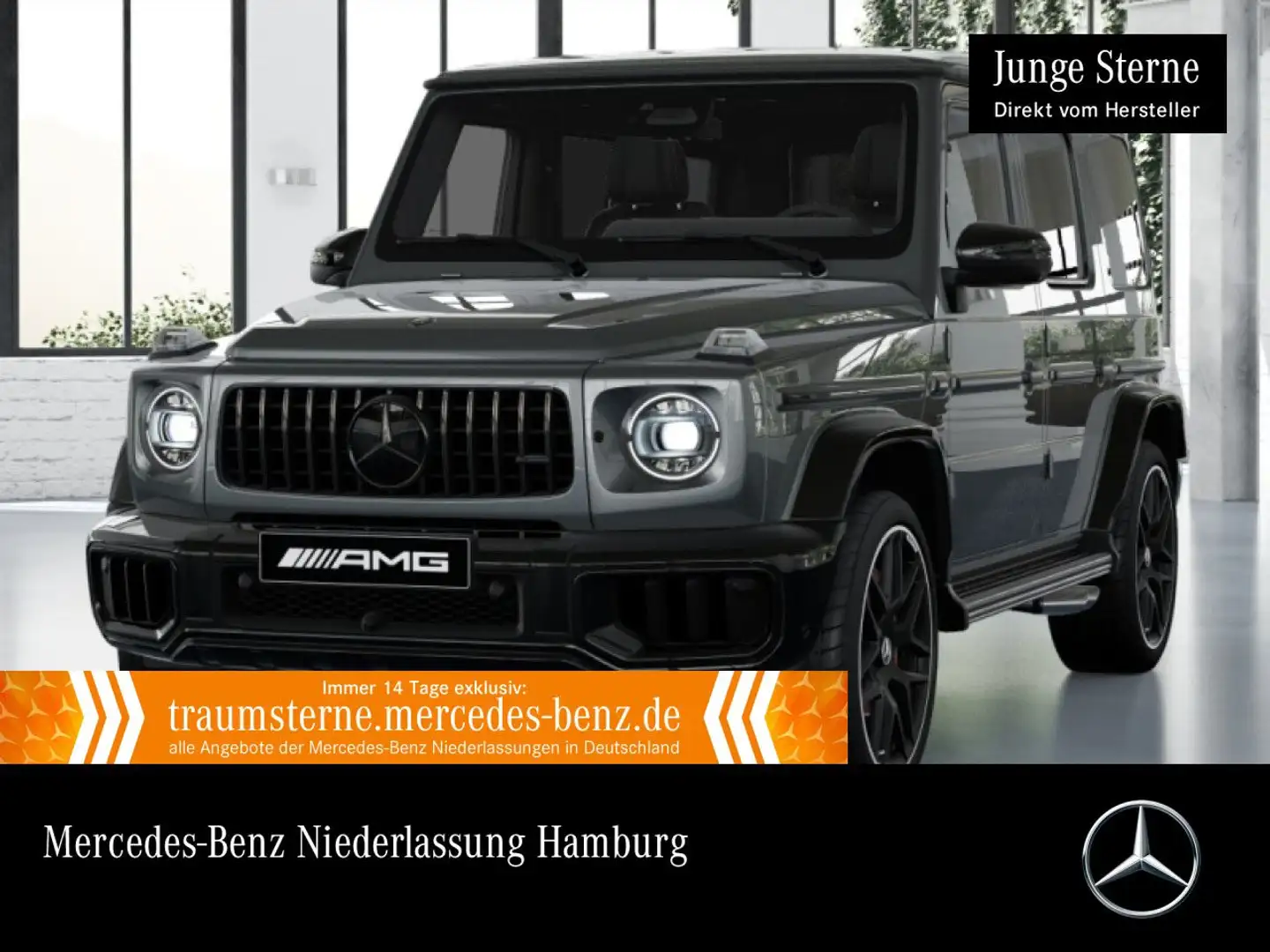 Mercedes-Benz G 63 AMG Burmester 3D Perf-Abgas 360° Multibeam Grau - 1