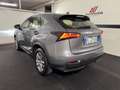 Lexus NX 300 NX Hybrid 4WD Luxury Grau - thumbnail 6