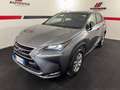 Lexus NX 300 NX Hybrid 4WD Luxury Grau - thumbnail 1
