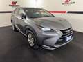 Lexus NX 300 NX Hybrid 4WD Luxury Grau - thumbnail 3