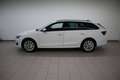 Skoda Octavia Selection TSI mHEV DSG Weiß - thumbnail 3