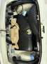 Fiat 500 N Wit - thumbnail 11