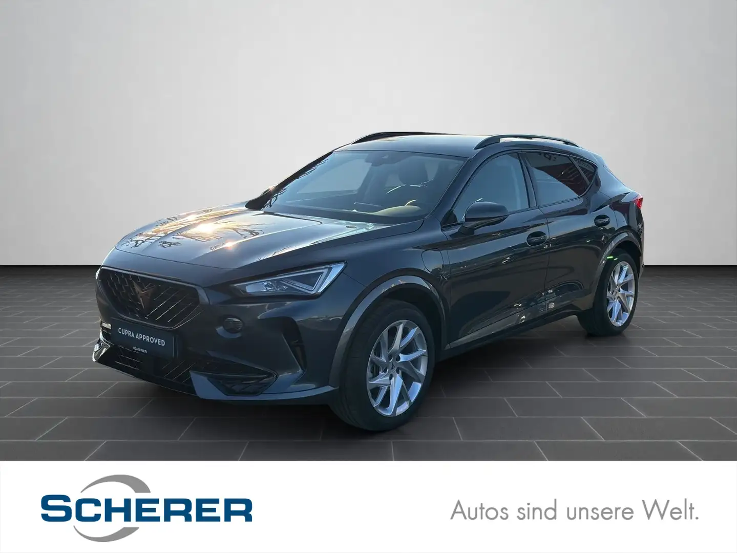 CUPRA Formentor 1.4 e-Hybrid LED CARPLAY RFK ACC SHZ Grijs - 1