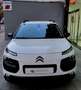 Citroen C4 Cactus 1.6 BlueHDi S&S Shine 100 Bianco - thumbnail 3