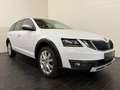 Skoda Octavia Octavia Scout 2,0 TDI 4x4 DSG Scout **1.Hand** Weiß - thumbnail 2
