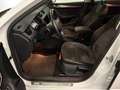 Skoda Octavia Octavia Scout 2,0 TDI 4x4 DSG Scout **1.Hand** Weiß - thumbnail 11