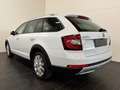 Skoda Octavia Octavia Scout 2,0 TDI 4x4 DSG Scout **1.Hand** Weiß - thumbnail 5