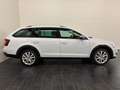 Skoda Octavia Octavia Scout 2,0 TDI 4x4 DSG Scout **1.Hand** Weiß - thumbnail 3