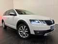 Skoda Octavia Octavia Scout 2,0 TDI 4x4 DSG Scout **1.Hand** Weiß - thumbnail 1