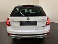 Skoda Octavia Octavia Scout 2,0 TDI 4x4 DSG Scout **1.Hand** Weiß - thumbnail 6