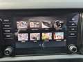 Skoda Kodiaq 1.5 TSI Business Edition 7p.,stuur/stoelverwarming - thumbnail 19